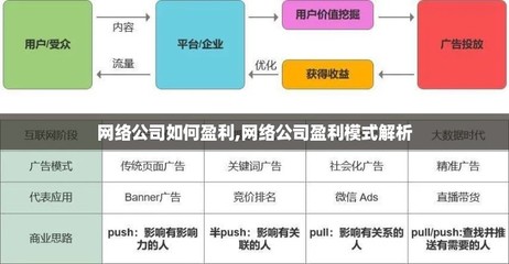 网络公司盈利模式解析 以网络技术服务为例
